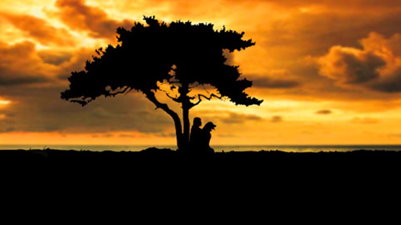 Archive-Banner. Photo imagoes Laura Meddens and her Seeing Eye Guide Dog Wagner sitting under a Divi Divi tree at sunset near the ocean on Curaçao.