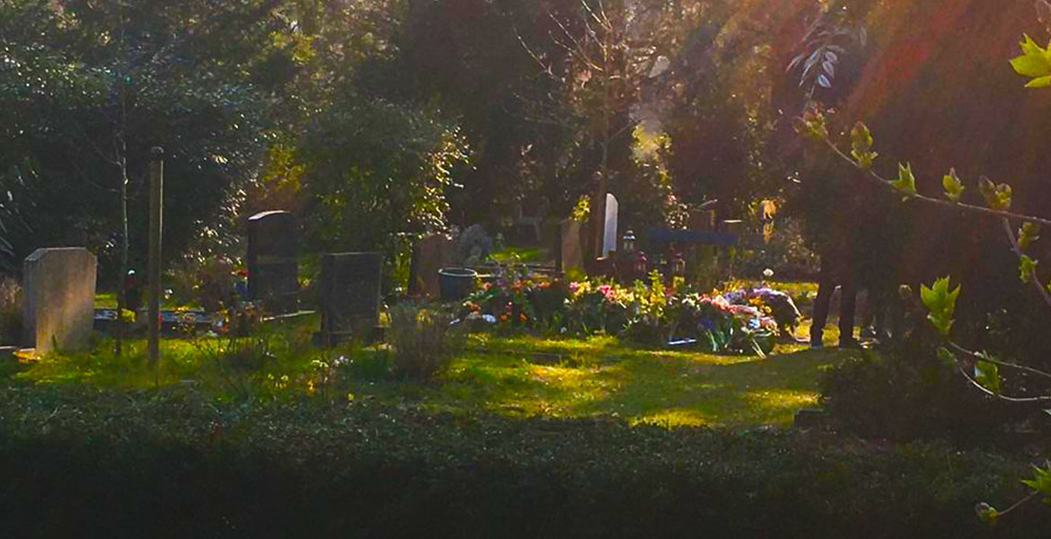 Photo of Laura Meddens gravesite taken from a distance showing a carpet of flowers on it illuminated in the warmth of late afternoon sunlight surrounded by green grass, bushes and tree in De Nieuwe Oost cemetery in Amsterdam.