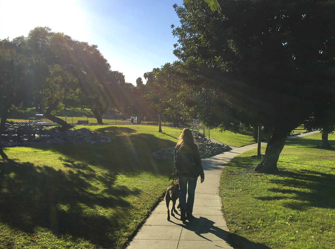 Photo of Laura Meddens and her Seeing Eye Guide Dog Nugget walk along a curving sidewalk in a park in Los Angeles on a beautiful sunny day.